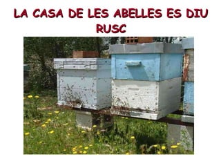LA CASA DE LES ABELLES ES DIU RUSC 
