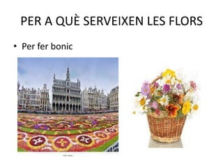 PER A QUÈ SERVEIXEN LES FLORS
• Per fer bonic

 