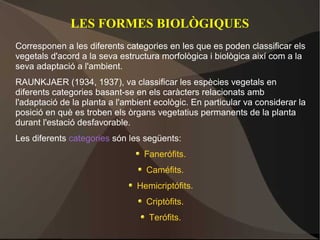 LES FORMES BIOLÒGIQUES
Corresponen a les diferents categories en les que es poden classificar els
vegetals d'acord a la seva estructura morfològica i biològica així com a la
seva adaptació a l'ambient.
RAUNKJAER (1934, 1937), va classificar les espècies vegetals en
diferents categories basant-se en els caràcters relacionats amb
l'adaptació de la planta a l'ambient ecològic. En particular va considerar la
posició en què es troben els òrgans vegetatius permanents de la planta
durant l'estació desfavorable.
Les diferents categories són les següents:
                                  Fanerófits.
                                  Caméfits.
                                Hemicriptófits.
                                  Criptòfits.
                                   Terófits.
 