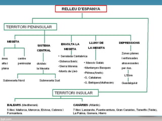 La Península Ibèrica i els arxipèlags
El relleu d’Espanya
La Península Ibèrica és situada a l’extrem sud-occidental
d’Europa.
El relleu peninsular es caracteritza per l’elevada altitud
mitjana.
Pel que fa al relleu dels arxipèlags, el de les illes Balears és
molt semblant al de la Península; en canvi, el de les illes
Canàries és molt accidentat i d’origen volcànic.
 