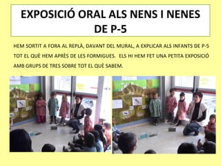 EXPOSICIÓ ORAL ALS NENS I NENES
              DE P-5
HEM SORTIT A FORA AL REPLÀ, DAVANT DEL MURAL, A EXPLICAR ALS INFANTS DE P-5
TOT EL QUÈ HEM APRÈS DE LES FORMIGUES. ELS HI HEM FET UNA PETITA EXPOSICIÓ
AMB GRUPS DE TRES SOBRE TOT EL QUÈ SABEM.
 