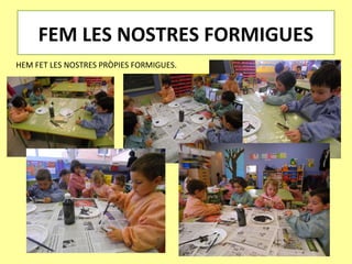 FEM LES NOSTRES FORMIGUES
HEM FET LES NOSTRES PRÒPIES FORMIGUES.
 
