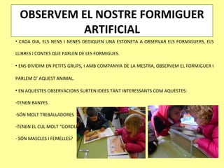 OBSERVEM EL NOSTRE FORMIGUER
          ARTIFICIAL
• CADA DIA, ELS NENS I NENES DEDIQUEN UNA ESTONETA A OBSERVAR ELS FORMIGUERS, ELS

LLIBRES I CONTES QUE PARLEN DE LES FORMIGUES.

• ENS DIVIDIM EN PETITS GRUPS, I AMB COMPANYIA DE LA MESTRA, OBSERVEM EL FORMIGUER I

PARLEM D’ AQUEST ANIMAL.

• EN AQUESTES OBSERVACIONS SURTEN IDEES TANT INTERESSANTS COM AQUESTES:

-TENEN BANYES

-SÓN MOLT TREBALLADORES

-TENEN EL CUL MOLT “GORDU”

- SÓN MASCLES I FEMELLES?
 