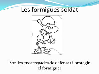 Les formigues soldat

Són les encarregades de defensar i protegir
el formiguer

 