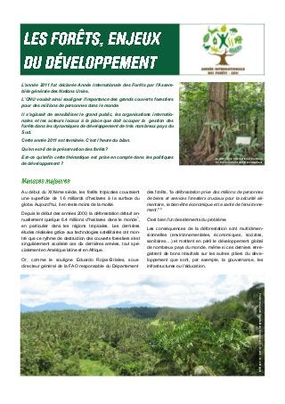 L'année 2011 fut déclarée Année Internationale des Forêts par l'Assem-
blée générale des Nations Unies.
L’ONU voulait ainsi souligner l'importance des grands couverts forestiers
pour des millions de personnes dans le monde.
Il s'agissait de sensibiliser le grand public, les organisations internatio-
nales et les acteurs locaux à la place que doit occuper la gestion des
forêts dans les dynamiques de développement de très nombreux pays du
Sud.
Cette année 2011 est terminée. C'est l'heure du bilan.
Qu’en est-il de la préservation des forêts?
Est-ce qu'enfin cette thématique est prise en compte dans les politiques
de développement ?
Au début du XIXème siècle, les forêts tropicales couvraient
une superficie de 1.6 milliards d'hectares à la surface du
globe. Aujourd'hui, il en reste moins de la moitié.
Depuis le début des années 2000, la déforestation détruit an-
nuellement quelque 6.4 millions d'hectares dans le monde1
,
en particulier dans les régions tropicales. Les dernières
études réalisées grâce aux technologies satellitaires ont mon-
tré que ce rythme de destruction des couverts forestiers s'est
singulièrement accéléré ces dix dernières années, tout spé-
cialement en Amérique latine et en Afrique.
Or, comme le souligne Eduardo Rojas-Briales, sous-
directeur général de la FAO responsable du Département
des forêts, "la déforestation prive des millions de personnes
de biens et services forestiers cruciaux pour la sécurité ali-
mentaire, le bien-être économique et la santé de l'environne-
ment." 2
C'est bien l'un des éléments du problème.
Les conséquences de la déforestation sont multidimen-
sionnelles (environnementales, économiques, sociales,
sanitaires…) et mettent en péril le développement global
de nombreux pays du monde, même si ces derniers enre-
gistrent de bons résultats sur les autres piliers du déve-
loppement que sont, par exemple, la gouvernance, les
infrastructures ou l'éducation.
Crédit : The International Institute
for Environment and Development
Forêttropicale(îledeBali,Indonésie)-Crédit:EricBajart
 