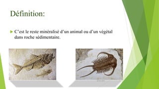 Les fossiles | PPTX