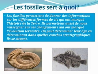 Les fossiles et leur formation avec des exemples .pptx