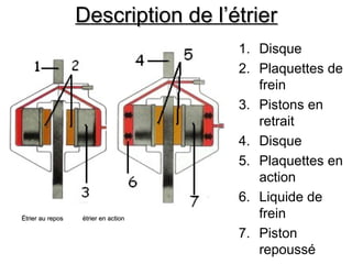 Description de l’étrier
Description de l’étrier
1. Disque
2. Plaquettes de
frein
3. Pistons en
retrait
4. Disque
5. Plaquettes en
action
6. Liquide de
frein
7. Piston
repoussé
Étrier au repos étrier en action
Étrier au repos étrier en action
 