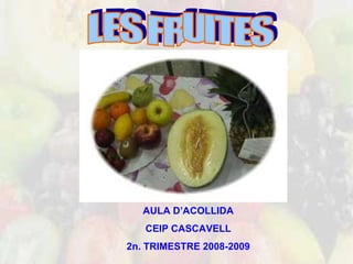 LES FRUITES AULA D’ACOLLIDA CEIP CASCAVELL 2n. TRIMESTRE 2008-2009 