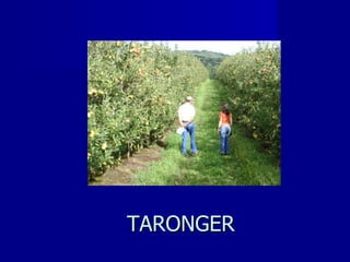 TARONGER 