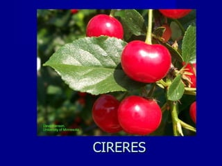 CIRERES 