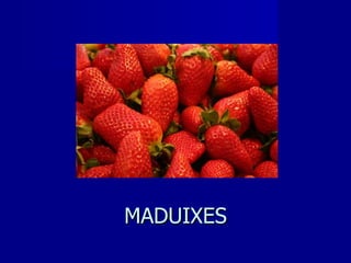 MADUIXES 