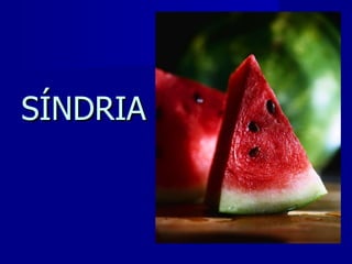 SÍNDRIA 