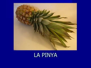 LA PINYA 