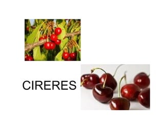 CIRERES 