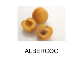 ALBERCOC 