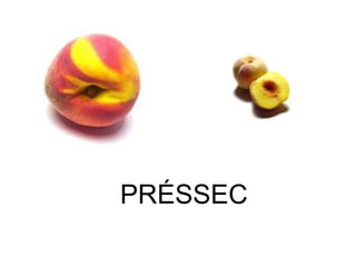 PRÉSSEC 