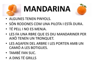 MANDARINA
• ALGUNES TENEN PINYOLS.
• SÓN RODONES COM UNA PILOTA I ESTÀ DURA.
• TÉ PELL I NO ES MENJA.
• LES FA UNA RBRE QUE ES DIU MANDARINER PER
AIXÒ TENEN UN TRONQUET.
• LES AGAFEN DEL ARBRE I LES PORTEN AMB UN
CAMIÓ A LES BOTIGUES.
• TAMBÉ FAN SUC.
• A DINS TÉ GRILLS
 