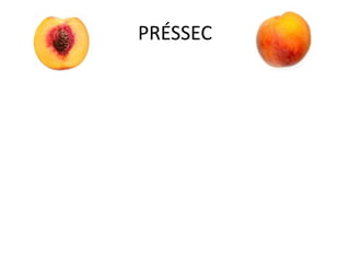 PRÉSSEC
 
