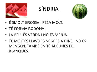 SÍNDRIA
• É SMOLT GROSSA I PESA MOLT.
• TÉ FORMA RODONA.
• LA PELL ÉS VERDA I NO ES MENJA.
• TÉ MOLTES LLAVORS NEGRES A DINS I NO ES
MENGEN. TAMBÉ EN TÉ ALGUNES DE
BLANQUES.
 
