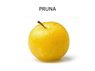 PRUNA
 