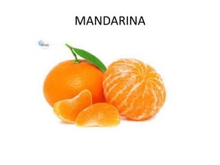 MANDARINA
 