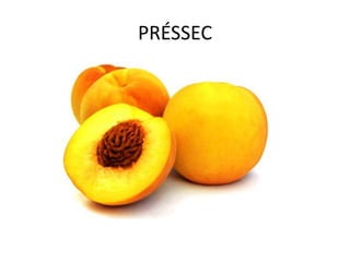 PRÉSSEC
 