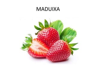 MADUIXA
 