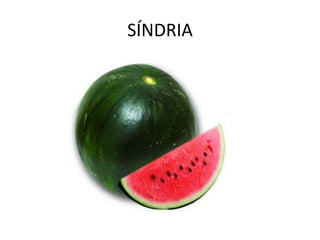 SÍNDRIA
 