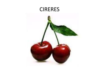 CIRERES
 
