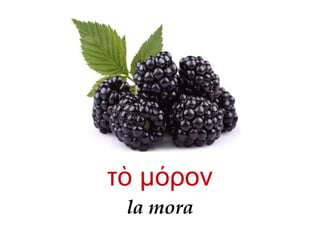 la mora
τ μ ρονὸ ό
 