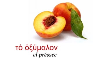 τ ξ μαλονὸ ὀ ύ
el préssec
 