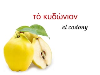 τ κυδ νιονὸ ώ
el codony
 