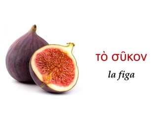 la figa
τ σ κονὸ ῦ
 