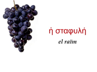 el raïm
σταφυλἡ ή
 