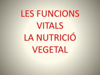 LES FUNCIONS
VITALS
LA NUTRICIÓ
VEGETAL
 