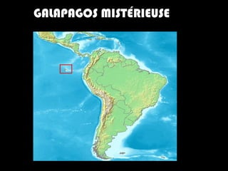 GALAPAGOS MISTÉRIEUSE
 