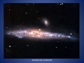 GALÀXIA DE LA BALENA
 