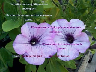 Certains sontmagnifiquement
enveloppés.
Ils sont très attrayants, dès le premier
abord.
D’autres sontenveloppés depapiers très
ordinaires.
D’autres ontété malmenés par la
poste.
Il arrive quelquefois qu’il y ait une distribution spéciale ».
 