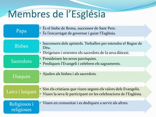 Membres de l’Església
• És el bisbe de Roma, successor de Sant Pere.
• És l’encarregat de governar i guiar l’Església.
Papa
• Successors dels apòstols. Treballen per estendre el Regne de
Déu.
• Dirigeixen i orienten els sacerdots de la seva diòcesi.
Bisbes
• Presideixen les seves parròquies.
• Prediquen l’Evangeli i celebren els sagraments.
Sacerdots
• Ajuden als bisbes i als sacerdots.
Diaques
• Són els cristians que viuen segons els valors dels Evangelis.
• Viuen la seva fe participant en les celebracions de l’Església.
Laics i laiques
• Viuen en comunitat i es dediquen a servir als altres.Religiosos i
religioses
 