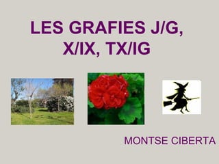 LES GRAFIES J/G,
X/IX, TX/IG
MONTSE CIBERTA
 