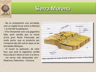 -  No es pròpiament una serralada, sinó un esglaó brusc entre la Meseta  i  la Vall del Guadalquivir. - S’ha interpretat com una gegantina falla, però sembla que es tracte d’una gran flexió fracturada per molts punts, que es produiria per l’empenta des del sud en alçar-se les Serralades Bètiques. - El rocam és paleozoic, de color fosc, que amb la vegetació, també fosca (xara) li dóna el nom a la Serra. - Les serres més destacades són:  Madrona, Pedroches  i Aracena. Sierra Morena 