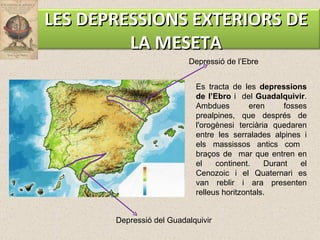Es tracta de les  depressions de l’Ebro  i  del  Guadalquivir . Ambdues eren fosses prealpines, que després de l'orogènesi terciària quedaren entre les serralades alpines i els massissos antics com  braços de  mar que entren en el continent. Durant el Cenozoic i el Quaternari es van reblir i ara presenten relleus horitzontals.  Depressió de l’Ebre Depressió del Guadalquivir LES DEPRESSIONS EXTERIORS DE LA MESETA 