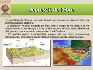 És paral·lela als Pirineus i es troba tancada per aquests, el sistema Ibèric i la serralada Costero-Catalana.  La depressió va estar ocupada pel mar, amb el temps es va tancar i es va transformar en un llac fins que a finals de l’era terciària el cabal del riu Ebre es va obrir pas a la mar a través de la serralada Litoral Catalana. Té depòsits marins i continentals, gruixuts als les vores muntanyoses (conglomerats) i més fins al centre (gresos, margues, guixos, calcàries i sals).  Depressió de l’Ebre 