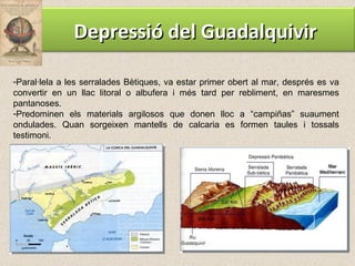 Paral·lela a les serralades Bètiques, va estar primer obert al mar, després es va convertir en un llac litoral o albufera i més tard per rebliment, en maresmes pantanoses. Predominen els materials argilosos que donen lloc a “campiñas” suaument ondulades. Quan sorgeixen mantells de calcaria es formen taules i tossals testimoni. Depressió del Guadalquivir 