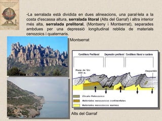 La serralada està dividida en dues alineacions, una paral·lela a la costa d'escassa altura,  serralada litoral  (Alts del Garraf) i altra interior més alta,  serralada prelitoral , (Montseny i Montserrat), separades ambdues per una depressió longitudinal reblida de materials cenozoics i quaternaris. Alts del Garraf Montserrat  