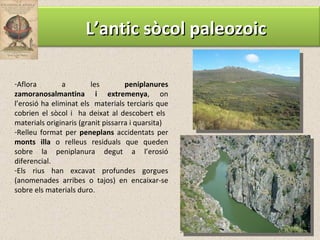 Aflora a les  peniplanures zamoranosalmantina i extremenya , on l’erosió ha eliminat els  materials terciaris que cobrien el sòcol i  ha deixat al descobert els  materials originaris (granit pissarra i quarsita) Relleu format per  peneplans  accidentats per  monts illa  o relleus residuals que queden sobre la peniplanura degut a l’erosió diferencial. Els rius han excavat profundes gorgues (anomenades arribes o tajos) en encaixar-se sobre els materials duro. L’antic sòcol paleozoic 
