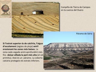 Campiña de Tierra de Campos en la cuenca del Duero Si l’estrat superior és de calcària, l’aigua d'escolament  (aigües de pluja)  anirà erosionant les zones més baixes . La zona cada vegada anirà aprofundint més fins  deixar aïllada la part més alta  (el sòl primitiu). Això és un  páramo. La coberta calcària protegeix els estrats inferiors. Páramo de Sória 
