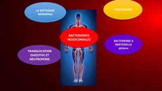 TOXICOMANIE
TRANSLOCATION
DIGESTIVE ET
NEUTROPENIE
BACTERIEMIES
NOSOCOMIALES BACTERIEMIE A
BARTONELLA
qintana
LA SEPTICEMIE
NEONATALE
 