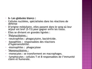 •
•
•
•
•
•
•
•
•
•
•

b- Les globules blancs : 
Cellules nucléées, spécialisées dans les réactions de
défense
D’origine médullaire, elles passent dans le sang où leur
séjour est bref (5-7J) pour gagner enfin les tissus.
Elles se divisent en grandes lignées : 
*Polynucléaires : 
-neutrophiles : phagocytaire, bactéricide.
-basophiles : responsables des réactions
d’hypersensibilité.
-éosinophiles : phagocytose
*Mononucléaires : 
-monocytes : se transforment en macrophages.
-lymphocytes : cellules T et B responsables de l’immunité
claire et humorale. 

 